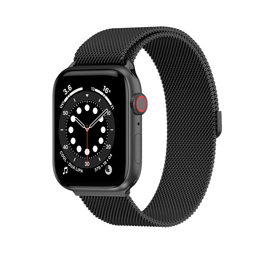 Mesh Stainless Steel Watch Loop (6876906913855)