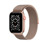 Mesh Stainless Steel Watch Loop (6876906913855)