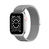 Mesh Stainless Steel Watch Loop (6876906913855)