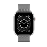 Mesh Stainless Steel Watch Loop (6876906913855)